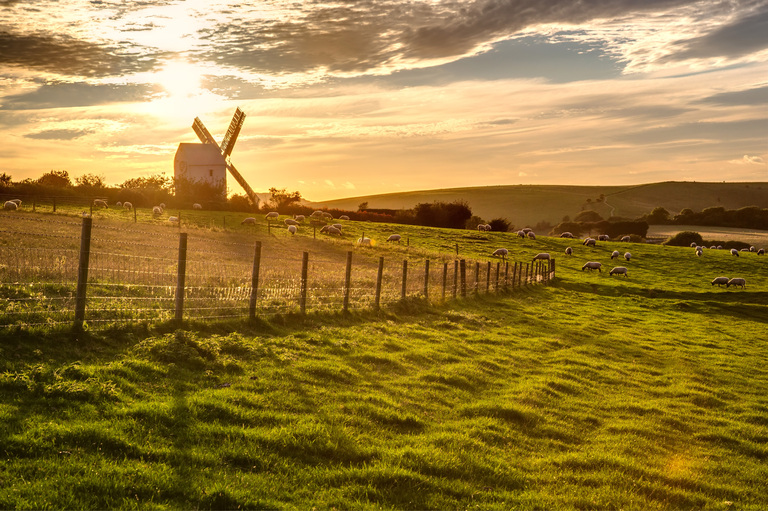 Château and gardens