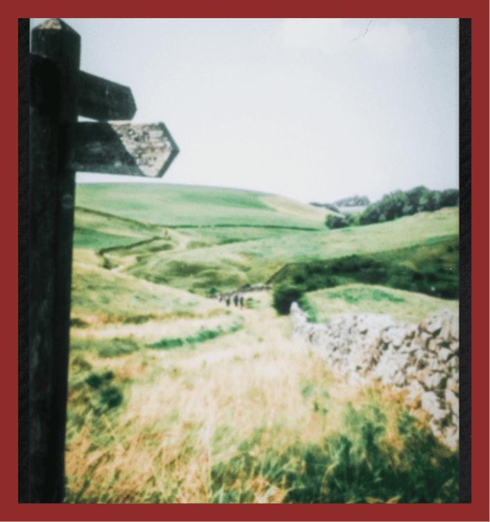 Rolling green hills and scenic countryside views in Somerset, UK.