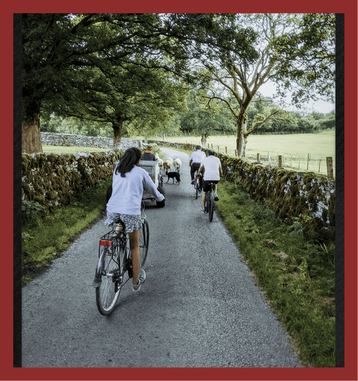 People riding bikes through scenic rural landscape with gently rolling fields.