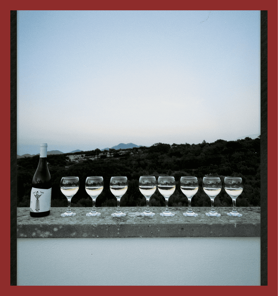 Champs in glasses with scenic landscape backdrop at dusk.